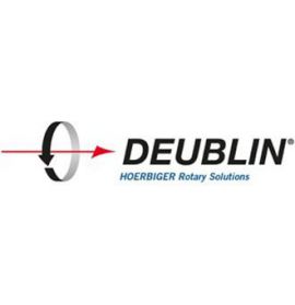 DEUBLIN TẠI VIỆT NAM